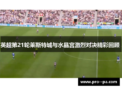 英超第21轮莱斯特城与水晶宫激烈对决精彩回顾 