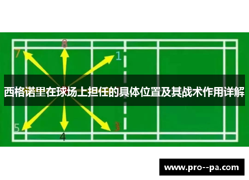 西格诺里在球场上担任的具体位置及其战术作用详解